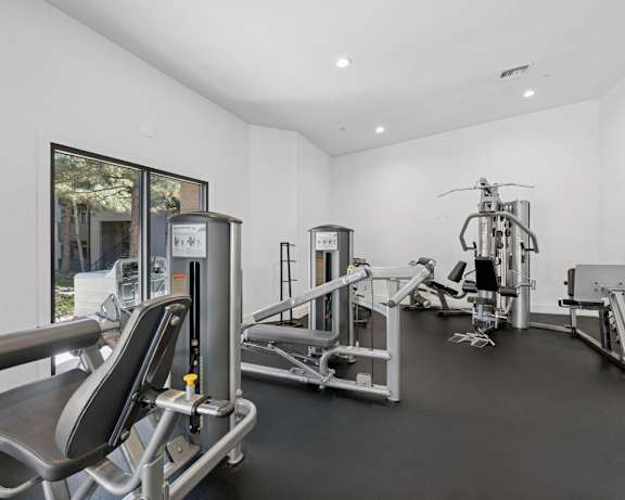 Photo Gallery Image