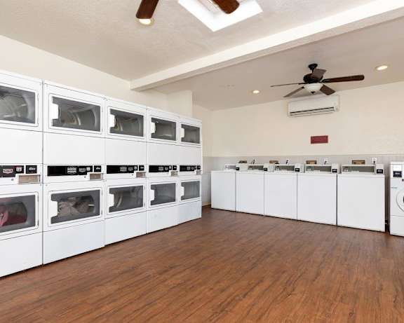Photo Gallery Image