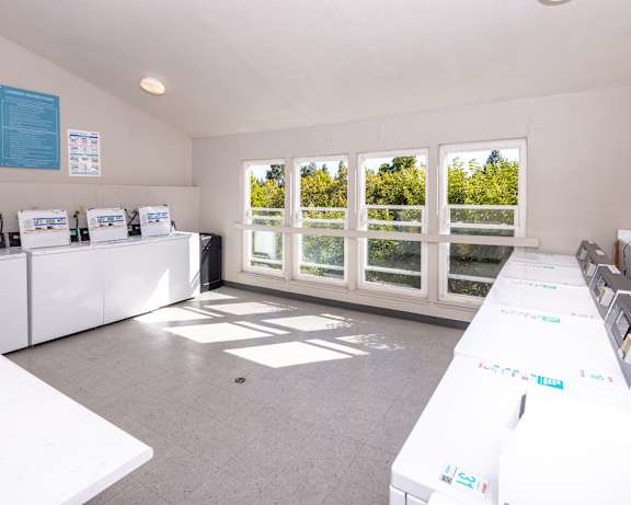 Photo Gallery Image