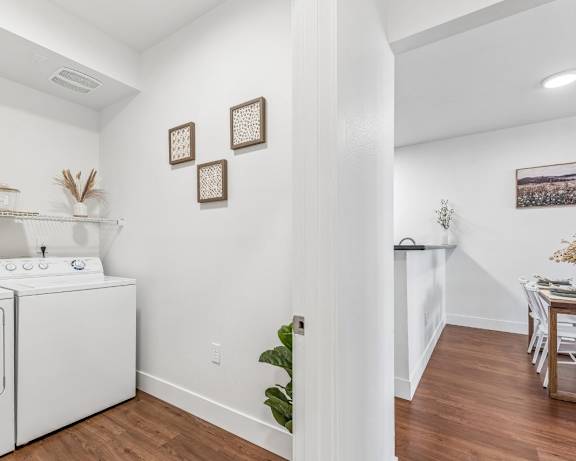 Photo Gallery Image
