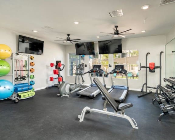 Photo Gallery Image
