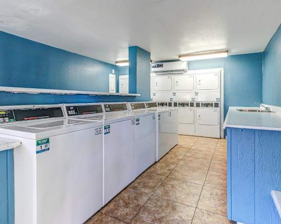 Photo Gallery Image