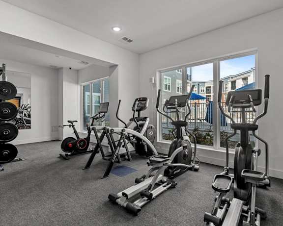 Photo Gallery Image