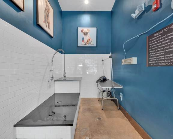 Photo Gallery Image