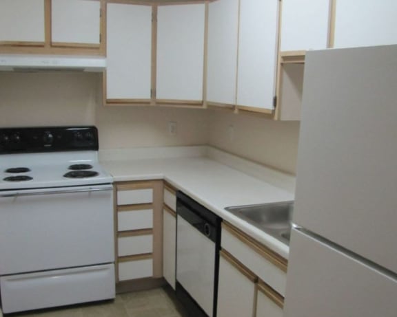 Photo Gallery Image