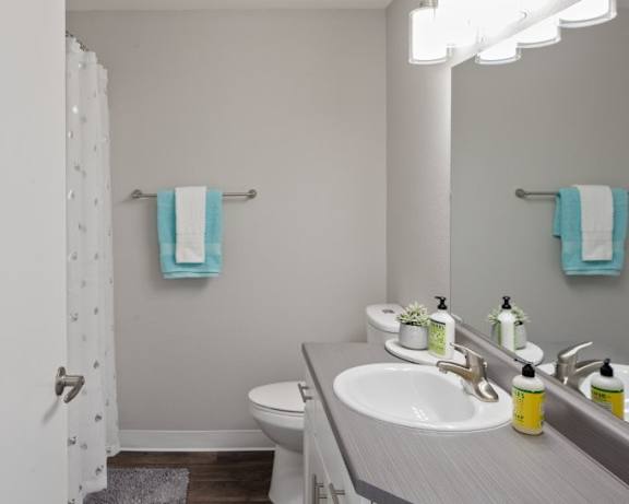 Photo Gallery Image
