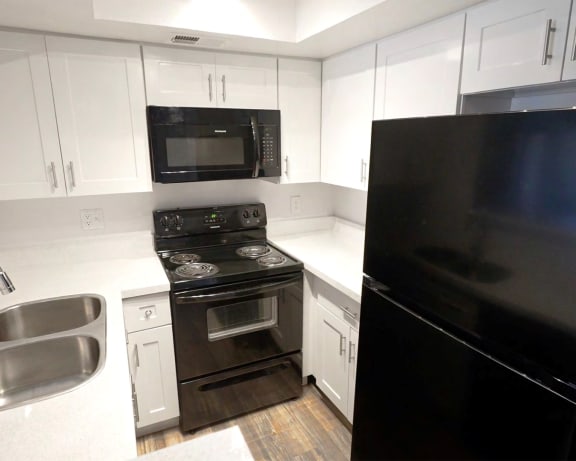 Photo Gallery Image