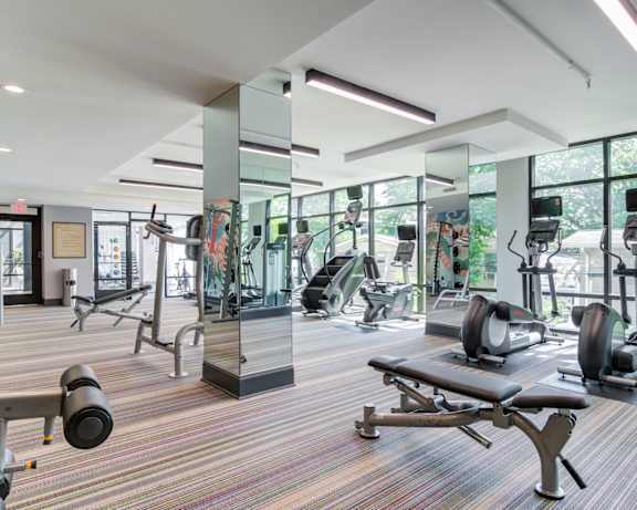 Photo Gallery Image