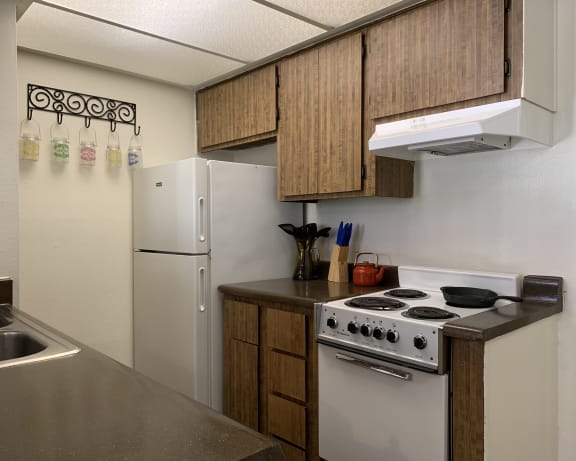 Photo Gallery Image