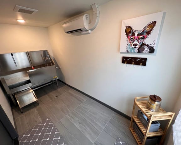Photo Gallery Image
