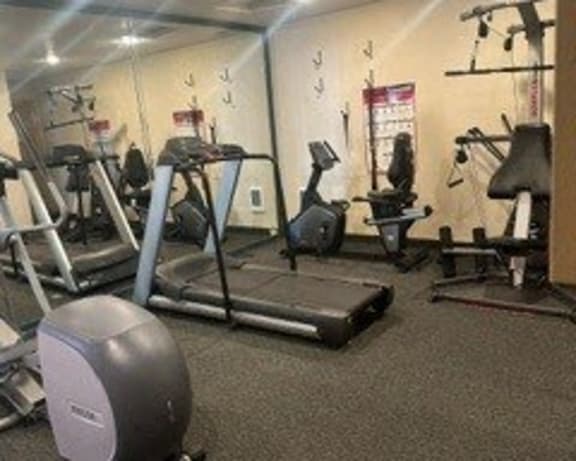 Photo Gallery Image