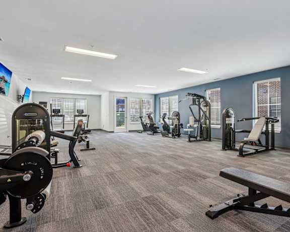 Photo Gallery Image