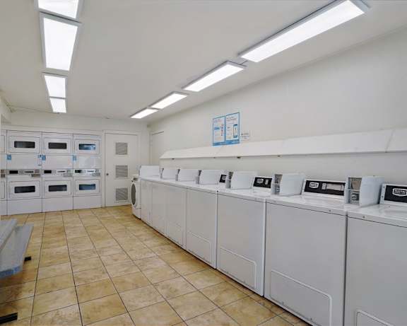 Photo Gallery Image