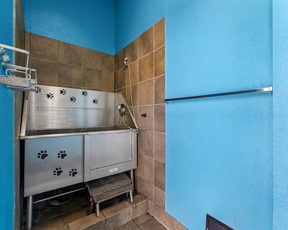 Photo Gallery Image