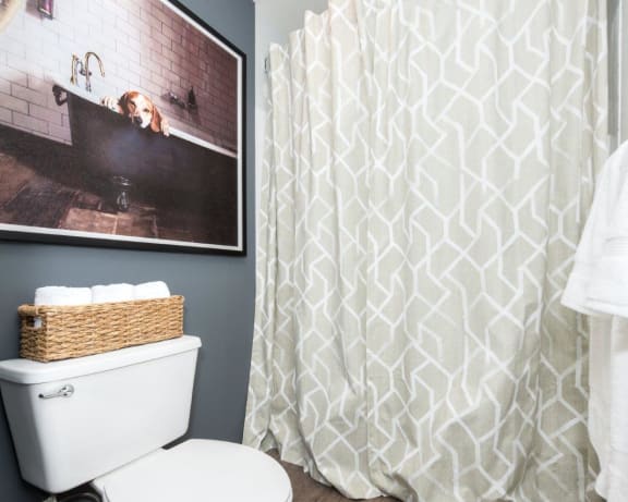 Photo Gallery Image