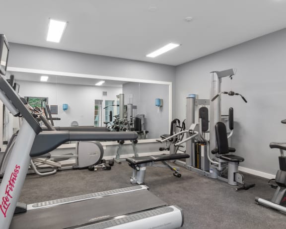 Photo Gallery Image