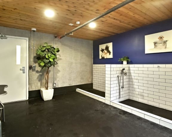 Photo Gallery Image
