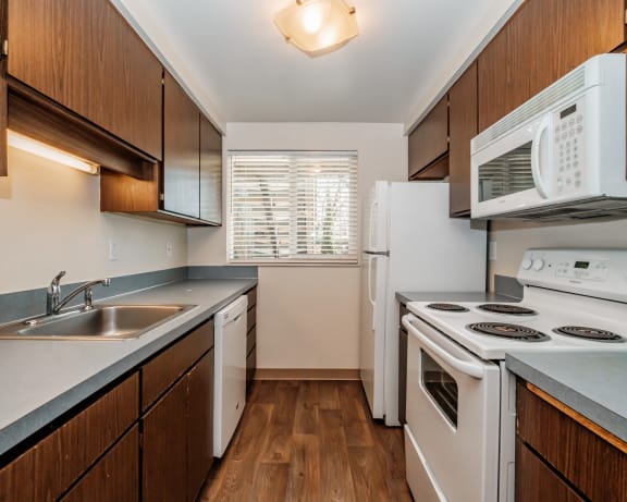Photo Gallery Image