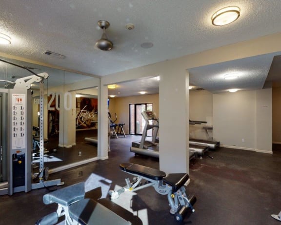 Photo Gallery Image