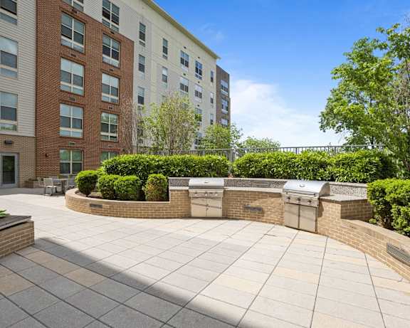 Photo Gallery Image