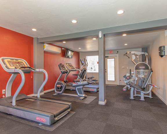 Photo Gallery Image