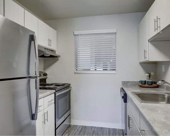 Photo Gallery Image