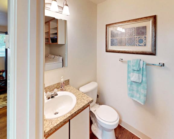 Photo Gallery Image