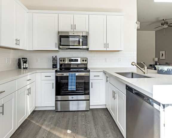 Photo Gallery Image