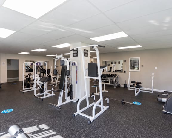 Photo Gallery Image