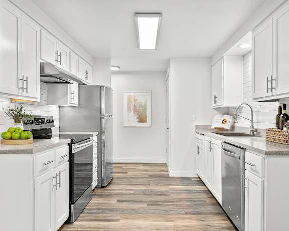 Photo Gallery Image