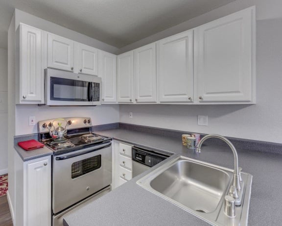 Photo Gallery Image