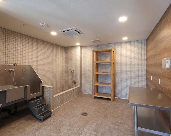 Photo Gallery Image