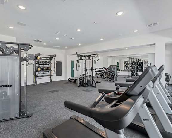Photo Gallery Image