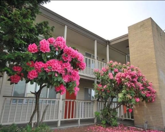 Photo Gallery Image
