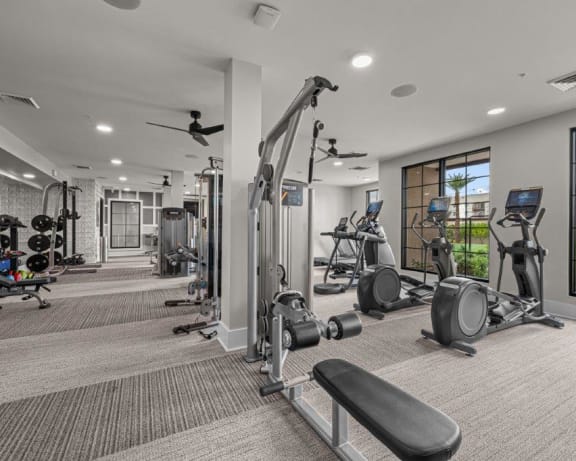 Photo Gallery Image