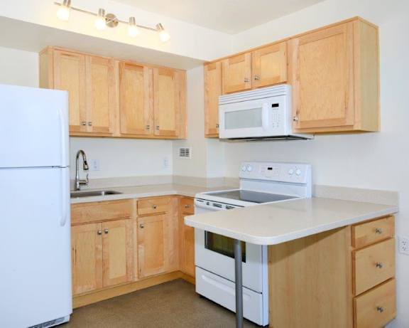 Photo Gallery Image