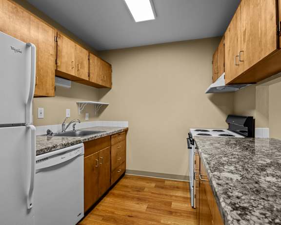 Photo Gallery Image