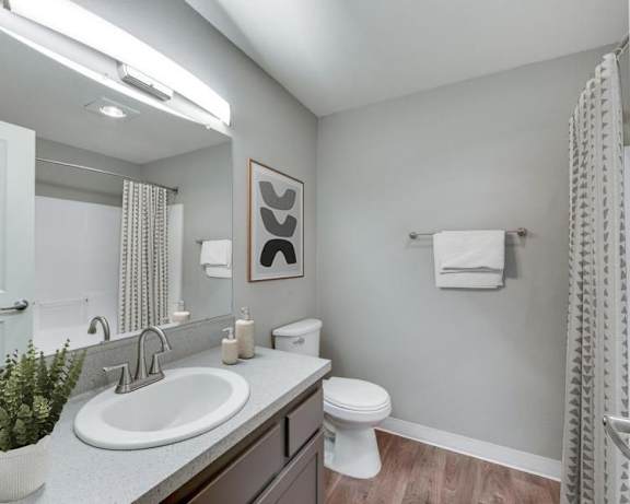 Photo Gallery Image