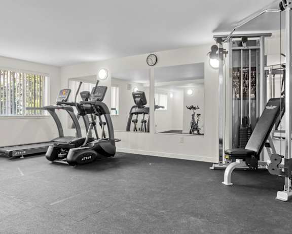 Photo Gallery Image