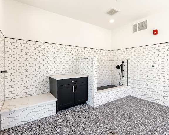Photo Gallery Image