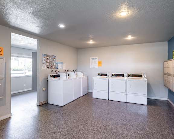 Photo Gallery Image