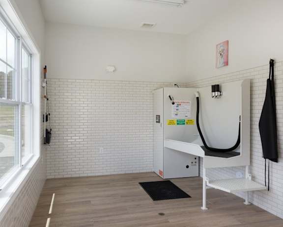 Photo Gallery Image
