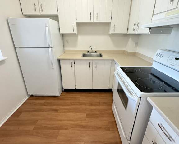 Photo Gallery Image