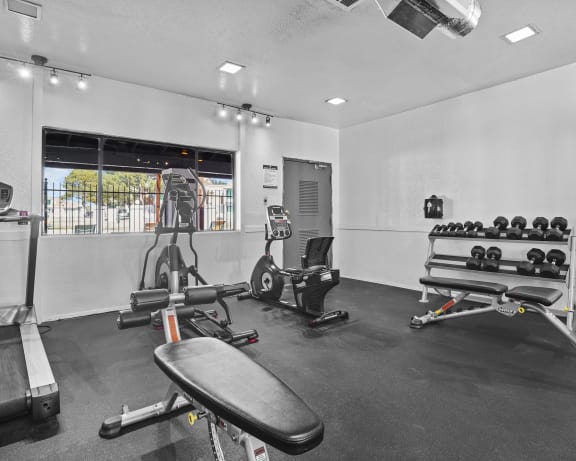 Photo Gallery Image