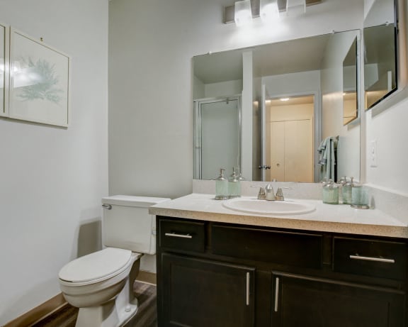 Photo Gallery Image