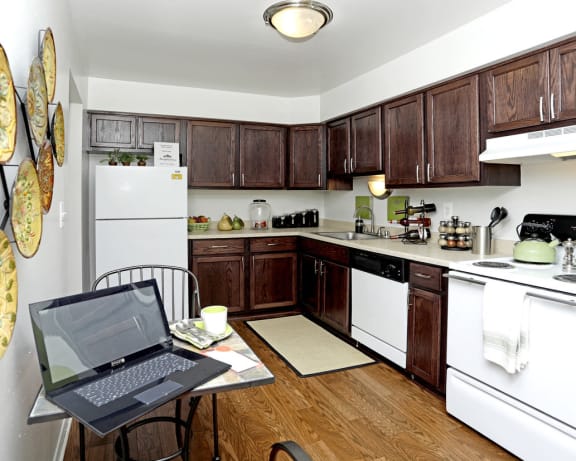 Photo Gallery Image