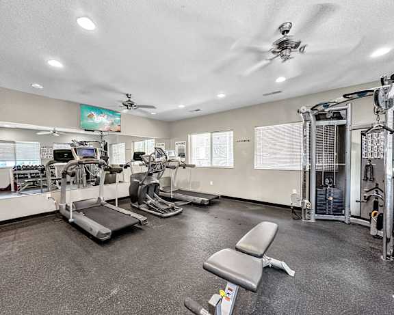 Photo Gallery Image