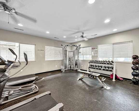 Photo Gallery Image