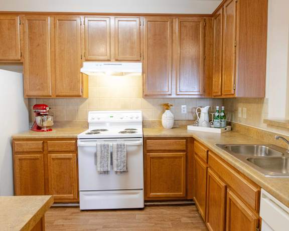 Photo Gallery Image