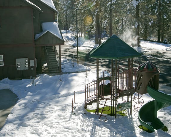 Photo Gallery Image